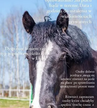 Dawna Mleczarnia Loft * 新鲁达