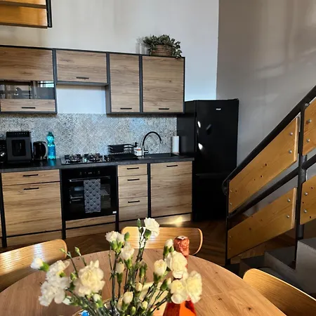 公寓 Dawna Mleczarnia Loft 新鲁达