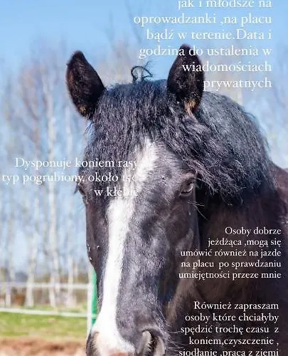 Dawna Mleczarnia Loft * Nowa Ruda